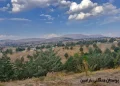 باراجین قزوین