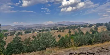 باراجین قزوین