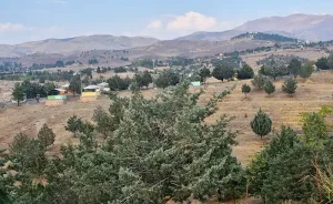 بوستان جنگلی باراجین