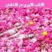 مراسم گلاب گیری کاشان