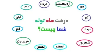 درخت ماه تولد