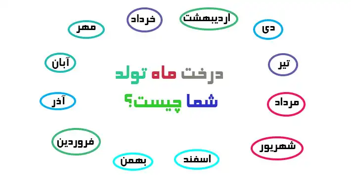 درخت ماه تولد