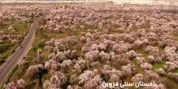 باغستان سنتی قزوین