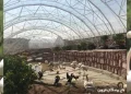 باغ پرندگان قزوین