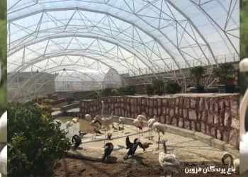 باغ پرندگان قزوین