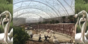 باغ پرندگان قزوین
